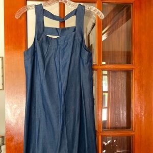 Kaari Denim Dress